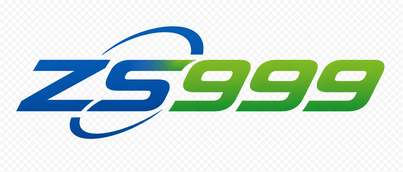 ZS999